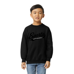 Crewneck Sweatshirt - Youth
